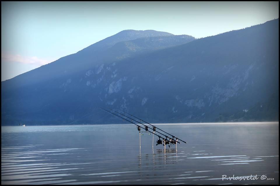 carpbook - 13822872345433200362411902702442n.jpg